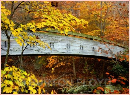 bridge.JPG