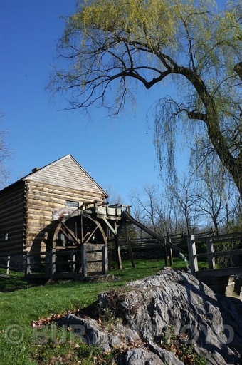 DSC_2498.JPG