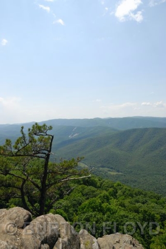 BRF_0032.JPG