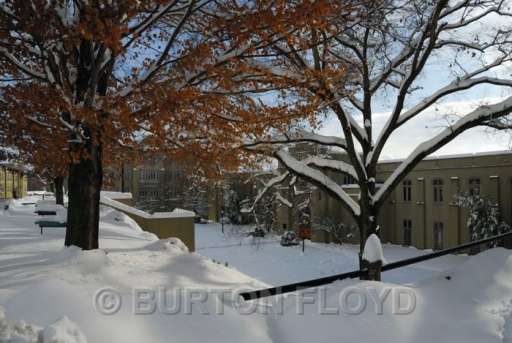 BRF_7129.JPG